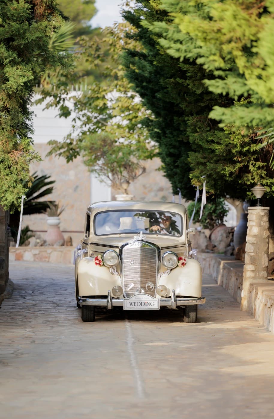 Vintage wedding car on the tree-lined driveway at Ktima Filokalis Attica